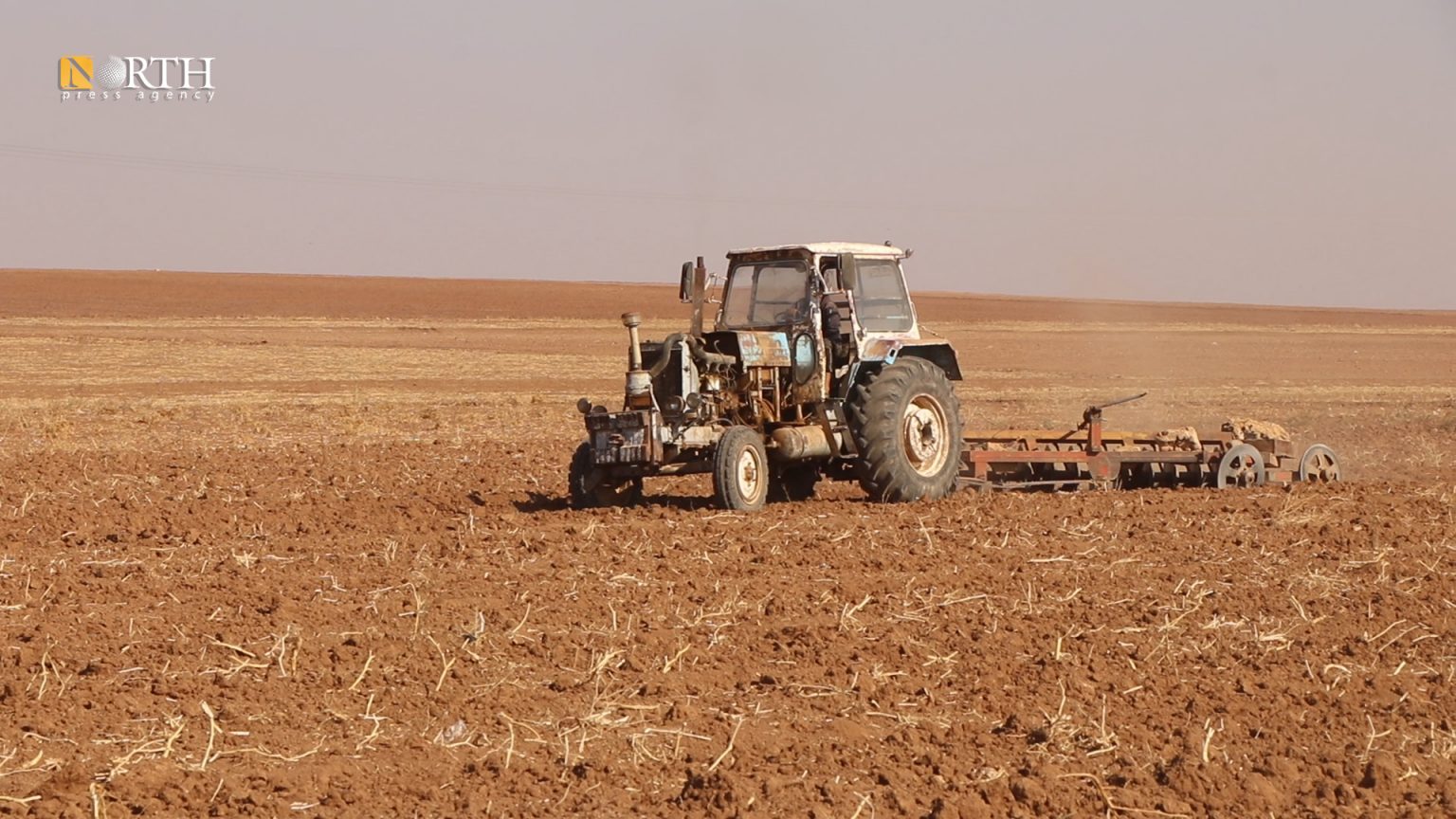 The AANES controls most of wheat production in Syria. Photo by North Press.