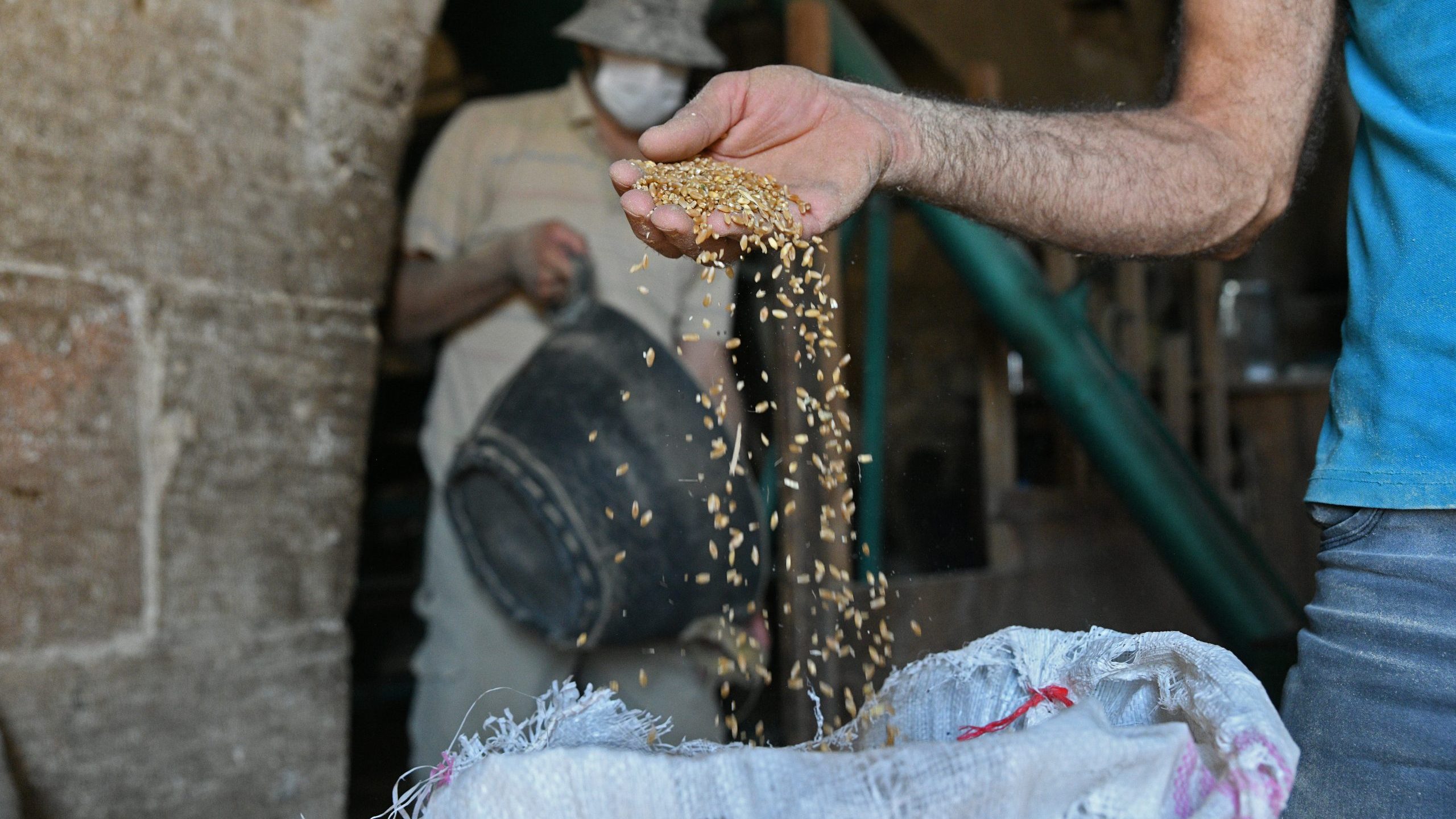 ‘Syria Food Basket’ Struck by Dire Wheat Shortages