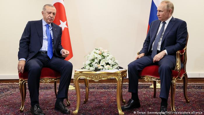 Putin, Erdogan Agree to Cooperate in Syria