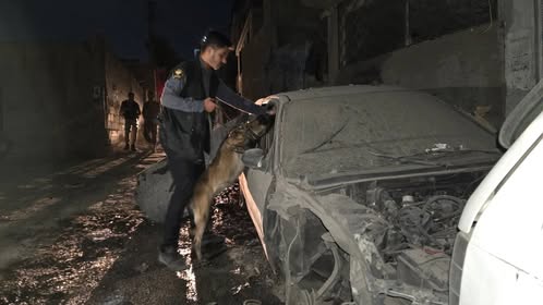 Ukrainian Wheat Ships Dock in Syria Amid Ongoing Food Security Challenges