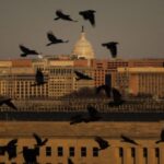 Admiral Brad Cooper, CENTCOM’s commander, hailed the operation as “a successful partnership with Syria’s Ministry of Interior that locks in enduring gains against Daesh.”